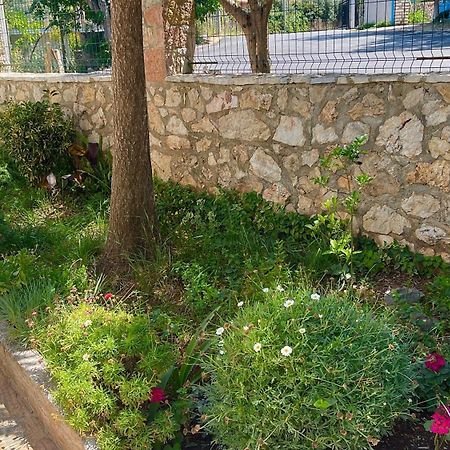 Guesthouse Shehu 卡萨米尔 外观 照片