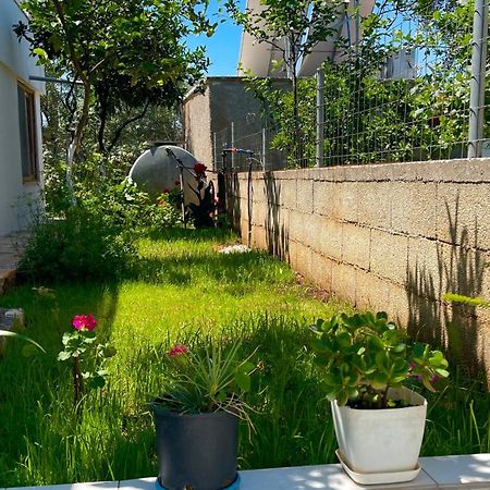 Guesthouse Shehu 卡萨米尔 外观 照片
